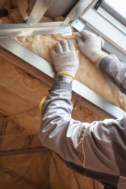 Best Insulation Replacement Services  in Georgetown, CO