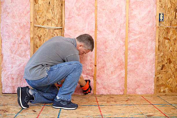 Best Attic Insulation Near Me  in Georgetown, CO